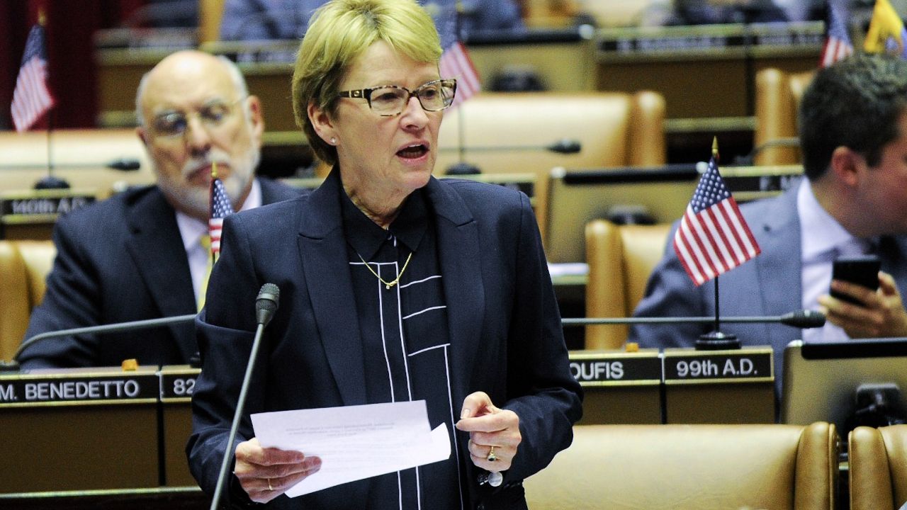 Longtime Hudson Valley Assembly member to retire - Vimarsana News